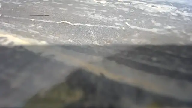 Snapshot of habdiela chatting on September 13, 2025, 12:21 am habdiela online show from September 13, 2025, 12:21 am