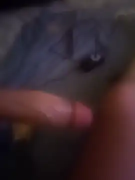 bogdy6969 online show from March 29, 2026, 5:25 pm