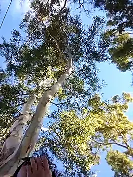 M4tute online show from April 17, 2026, 7:49 pm