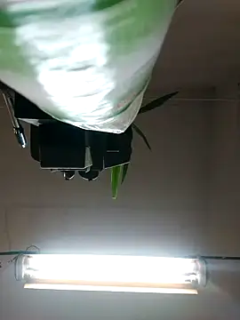 Czarnoksieznik online show from October 27, 2025, 4:52 pm