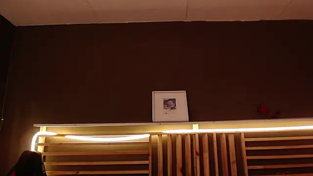 Snapshot of PaulEvens chatting on November 12, 2025, 1:26 pm PaulEvens online show from November 12, 2025, 1:26 pm