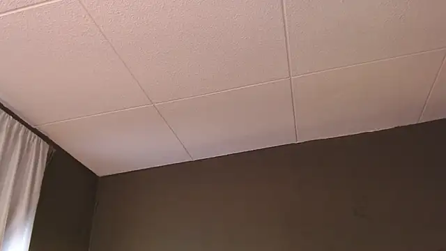 PaulEvens online show from December 5, 2025, 1:32 pm