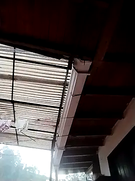 solpeich online show from March 6, 2026, 1:06 pm