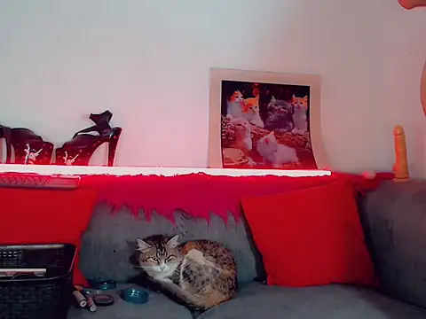 vicky gill online show from October 17, 2025, 7:37 pm