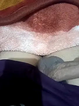 xerxusi online show from November 6, 2025, 7:40 pm