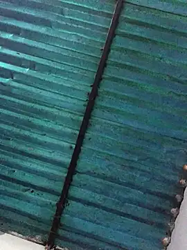 veronica and bryan online show from September 14, 2025, 3:51 am