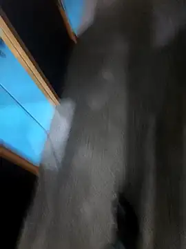 hotboy43339 online show from March 1, 2026, 3:06 am