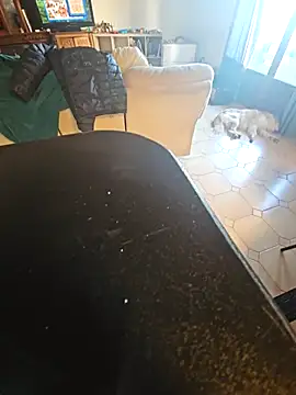 Stingles online show from March 27, 2026, 5:25 pm