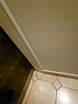 Stingles online show from March 24, 2026, 4:12 am