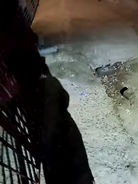 nughtytommy01 online show from April 10, 2026, 8:05 pm