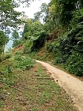 Dung-Thao19 online show from November 24, 2025, 2:55 am