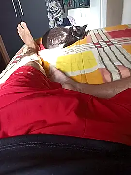 comobucetinhas online show from November 14, 2025, 7:28 pm