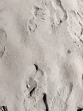 pegaso369 online show from March 28, 2026, 11:11 am