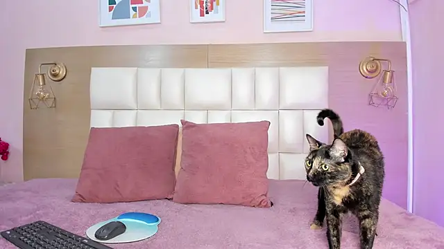 sofiagomez   online show from October 8, 2025, 7:25 pm