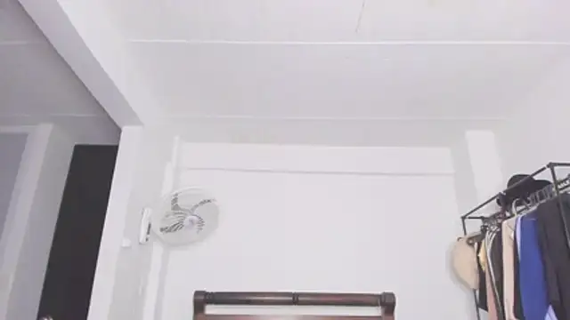 Jump rabbit online show from January 11, 2026, 5:47 am