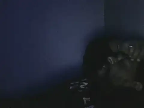 elpoop7305 online show from October 19, 2025, 12:57 am