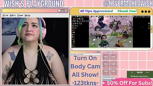 Snapshot of nevermakeawish chatting on February 20, 2026, 5:04 pm nevermakeawish online show from February 20, 2026, 5:04 pm