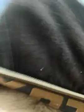 Bio-teacher online show from April 23, 2026, 7:59 pm