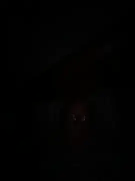 philefc online show from September 27, 2025, 6:19 am