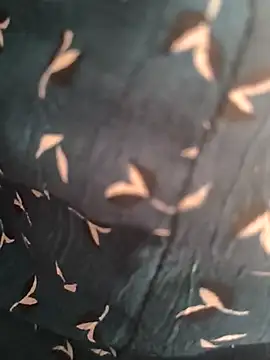 Snapshot of Gk_99999 chatting on April 14, 2026, 8:19 am Gk 99999 online show from April 14, 2026, 8:19 am