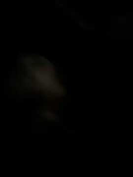 high3ndlowlife online show from November 27, 2025, 2:12 am