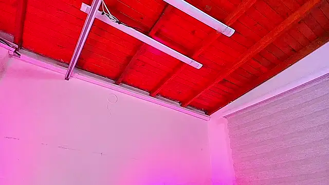 emma madi online show from September 29, 2025, 12:00 pm