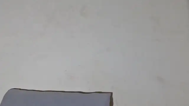 SexyBitchx01 online show from November 26, 2025, 7:47 pm