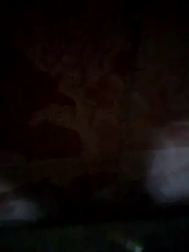 shessAz online show from April 2, 2026, 11:17 am