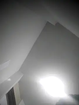 luislimafuego online show from March 29, 2026, 8:05 am