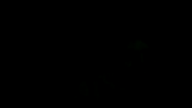 Snapshot of XanderOzzz chatting on April 15, 2026, 7:03 am XanderOzzz online show from April 15, 2026, 7:03 am