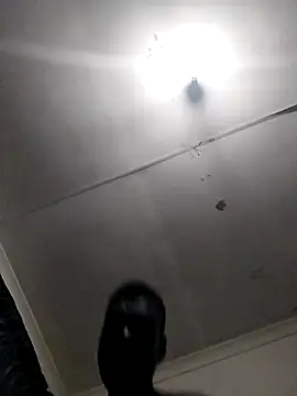 TmanZim2025 online show from April 14, 2026, 7:19 pm