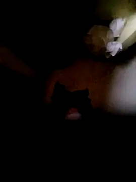 Snapshot of Vizgeboys chatting on October 16, 2025, 12:52 am Vizgeboys online show from October 16, 2025, 12:52 am