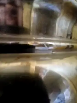 Snapshot of Vizgeboys chatting on October 6, 2025, 9:43 am Vizgeboys online show from October 6, 2025, 9:43 am