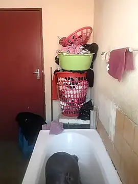 shebeshid online show from April 11, 2026, 7:56 am