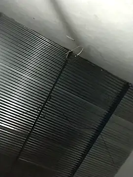 lucerocutte online show from November 16, 2025, 6:07 am