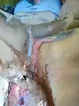 lucerocutte online show from November 26, 2025, 6:52 pm