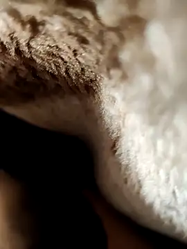 its Surya BBC online show from January 16, 2026, 5:06 pm