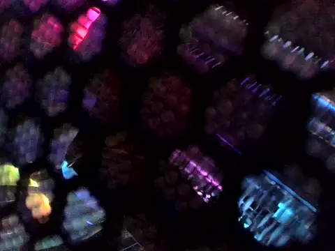 Wyrolowanyyy online show from April 15, 2026, 12:27 am