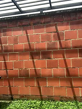 Andrew Johnnson online show from October 24, 2025, 4:50 pm