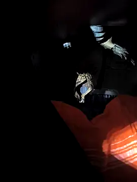 rajdehli online show from April 18, 2026, 5:04 pm