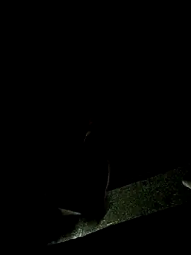 Snapshot of Lawrence067 chatting on November 4, 2025, 1:31 am Lawrence067 online show from November 4, 2025, 1:31 am