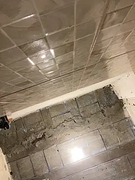 danixayume01 online show from November 25, 2025, 12:05 pm