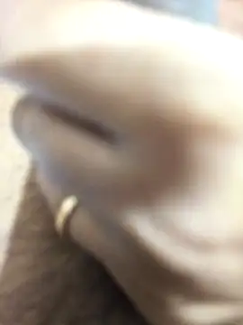 Priyankacam online show from March 13, 2026, 5:56 am