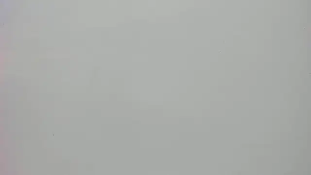 Saammy 17 online show from September 23, 2025, 8:27 pm