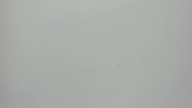 Saammy 17 online show from September 27, 2025, 8:15 pm