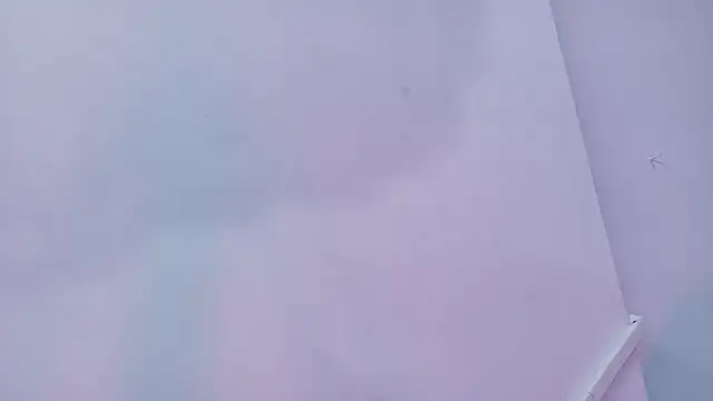 Lizbeth Rouse online show from November 29, 2025, 1:44 pm