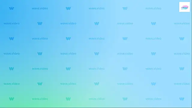 puddled wonderland online show from September 9, 2025, 9:02 pm