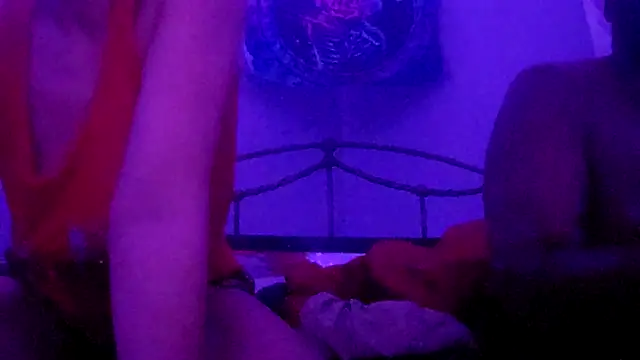 puddled wonderland online show from November 12, 2025, 7:01 am