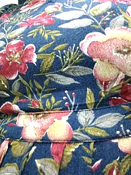 sweet-lotus online show from October 1, 2025, 7:13 am