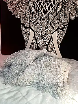 Enzo-wolf33 online show from September 15, 2025, 11:05 pm